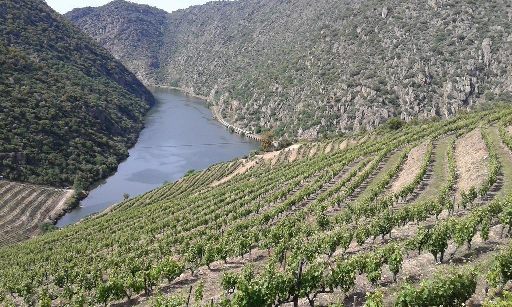 Vistadouro Peso da Régua Eksteriør bilde